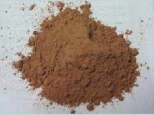 Terminalia Arjuna Extract Powder
