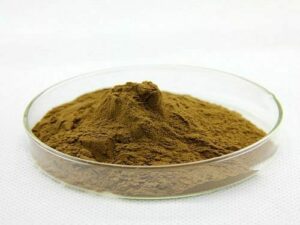 Bacopa Monnieri Extract Powder