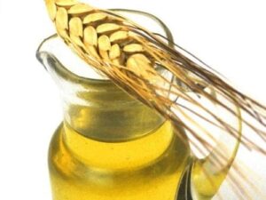 Wheatgerm Carrier Oil