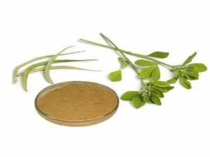 Gymnema Sylvestre Extract