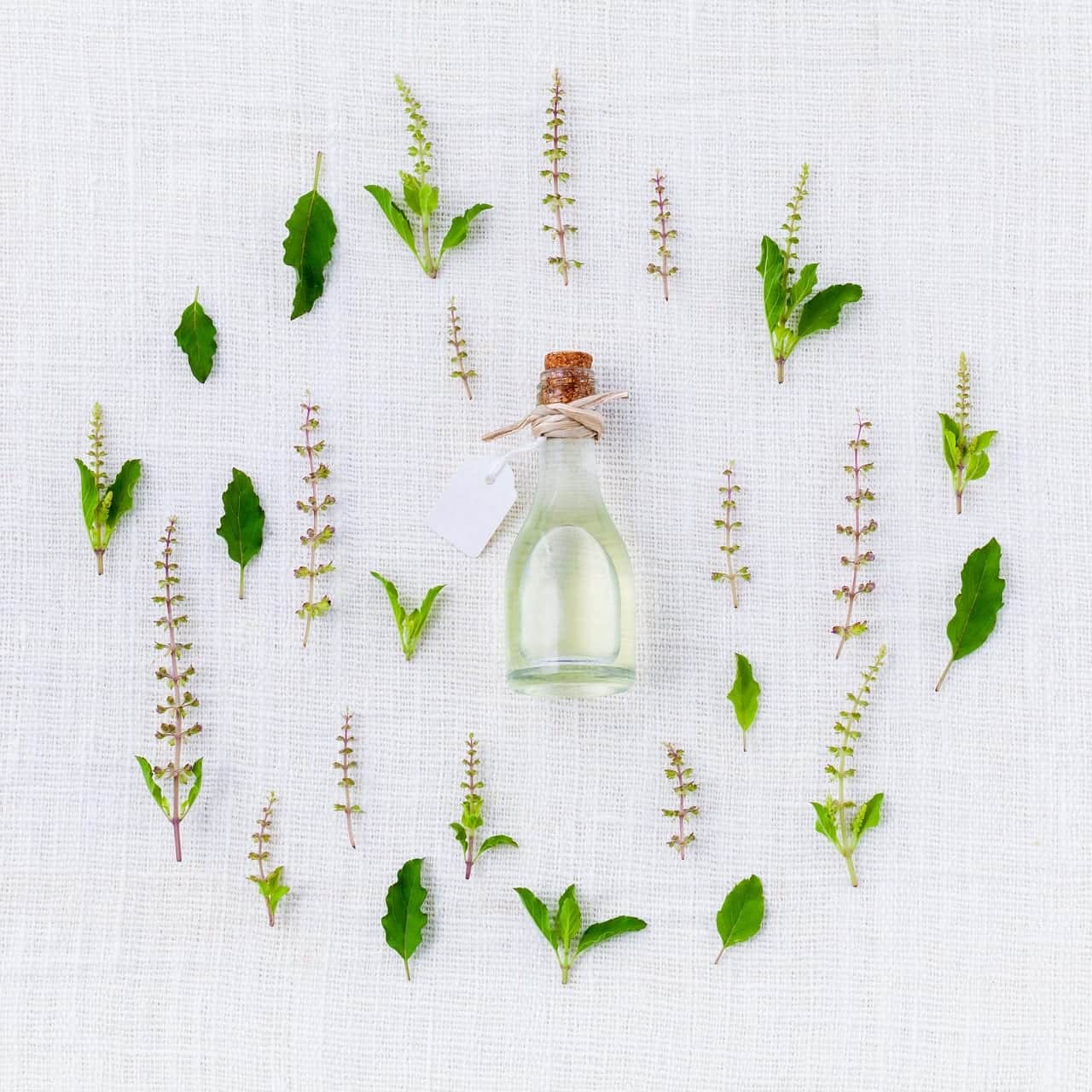 Natural And Ayurvedic Herbs