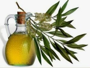 Eucalyptus oil