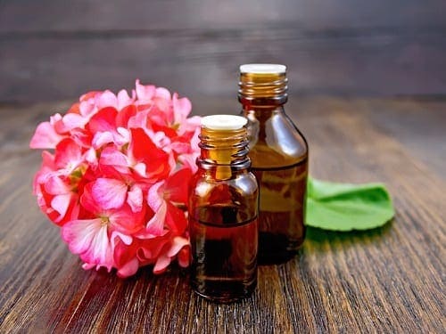 Geranium Essential Oils