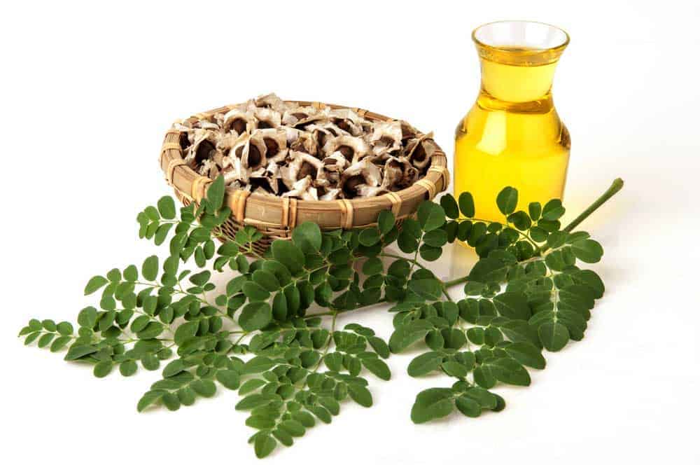 Moringa Carrier Oil