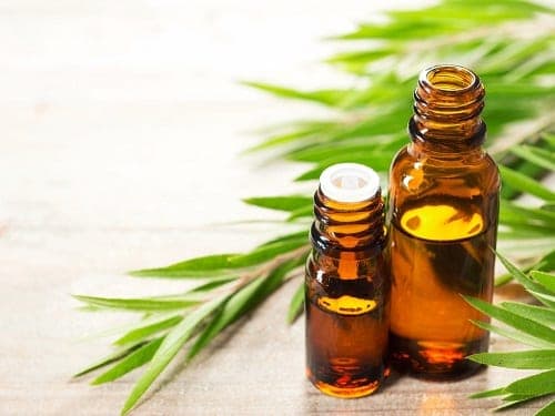 tea tree essential oil